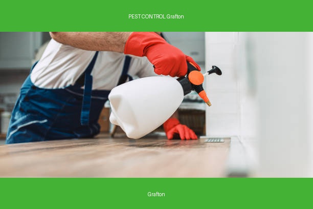 PEST CONTROL Grafton